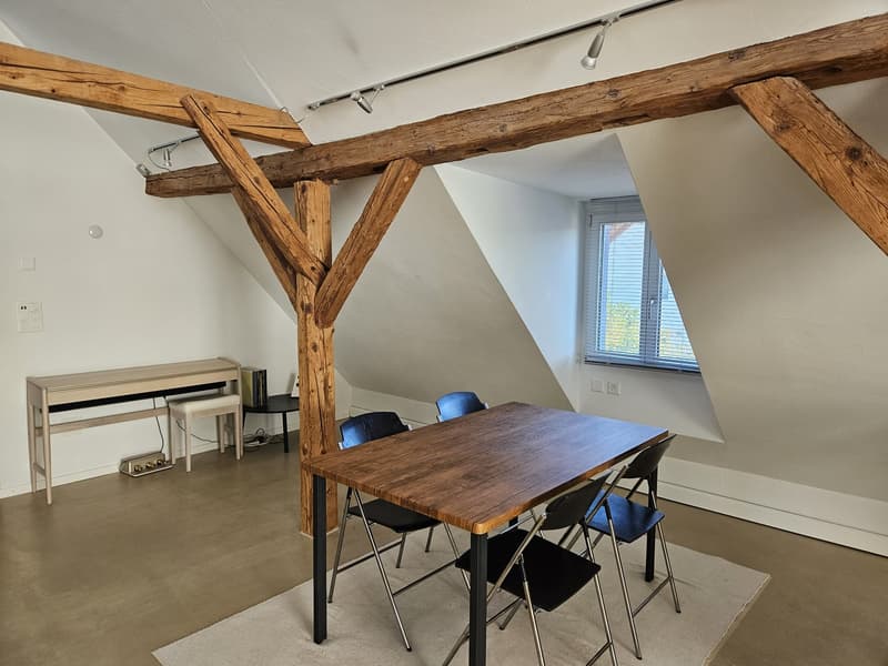 Altbau-Bijou unterm Dach: viel Raum, Holzbalken und eigenem Garten (4)
