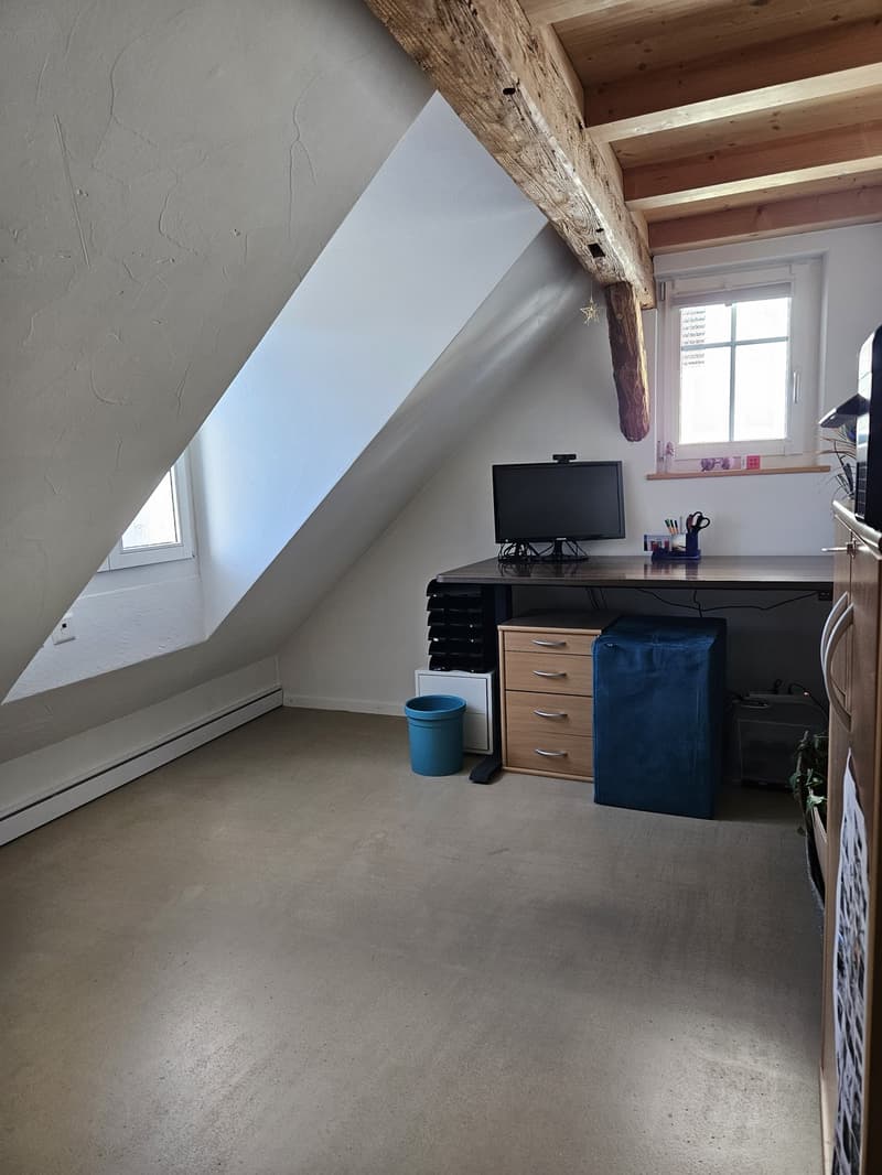 Altbau-Bijou unterm Dach: viel Raum, Holzbalken und eigenem Garten (6)