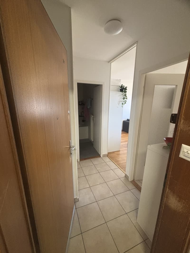 CHERCHE REPRENEUSE APPARTEMENT À ECUBLENS DÈS LE 1er JANVIER 2027 (2)