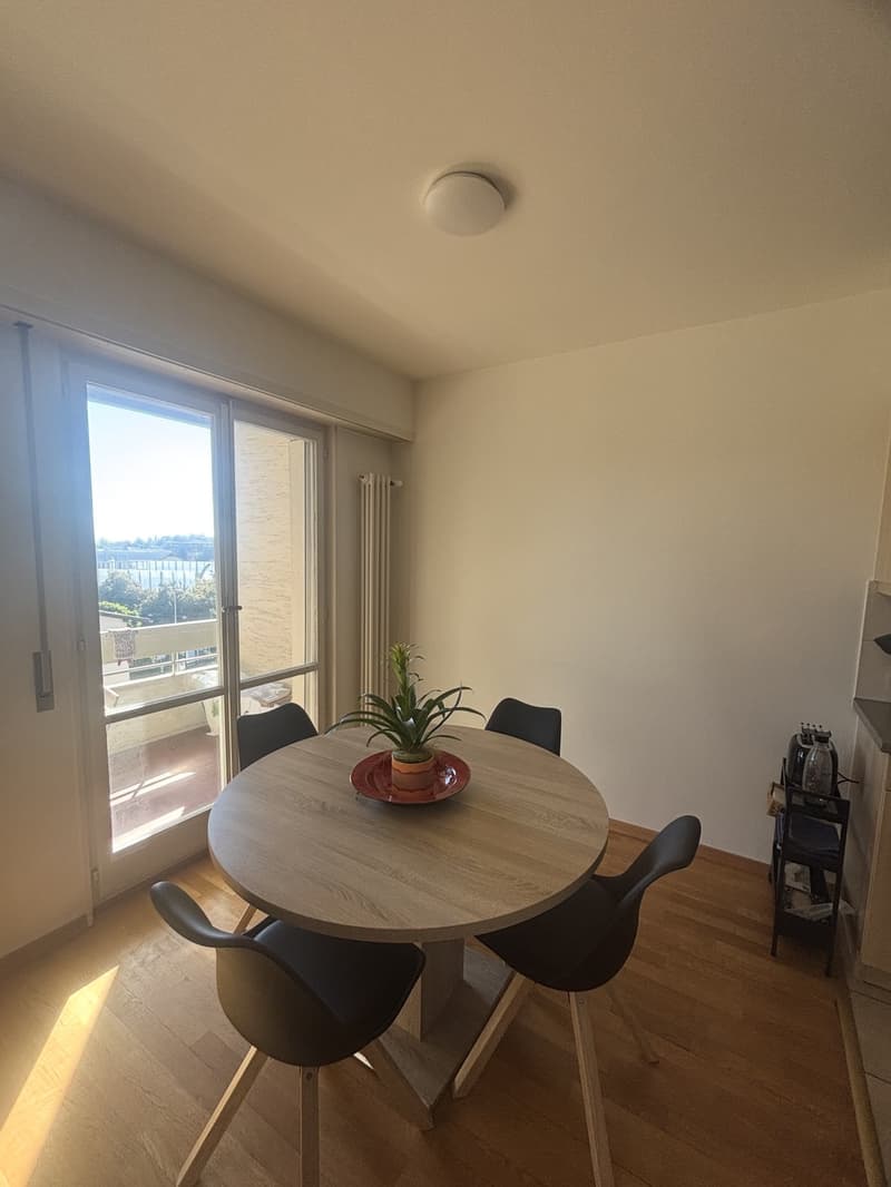 CHERCHE REPRENEUSE APPARTEMENT À ECUBLENS DÈS LE 1er JANVIER 2027 (7)