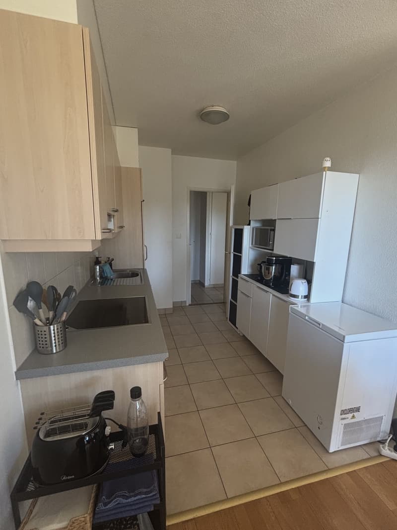 CHERCHE REPRENEUSE APPARTEMENT À ECUBLENS DÈS LE 1er JANVIER 2027 (6)