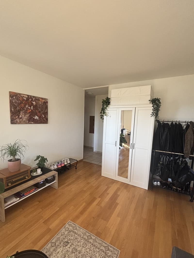CHERCHE REPRENEUSE APPARTEMENT À ECUBLENS DÈS LE 1er JANVIER 2027 (5)