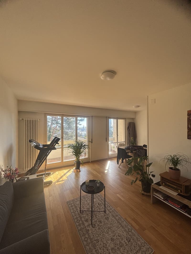 CHERCHE REPRENEUSE APPARTEMENT À ECUBLENS DÈS LE 1er JANVIER 2027 (4)