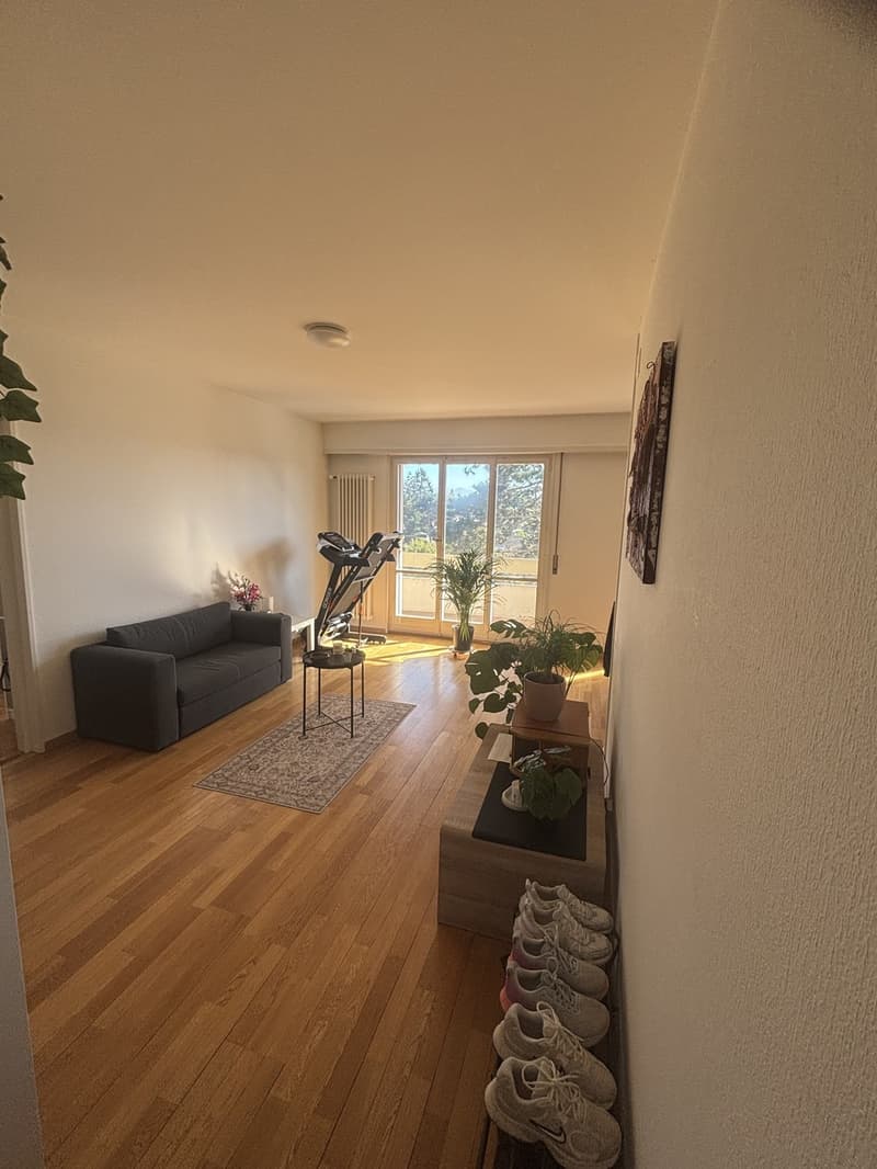 CHERCHE REPRENEUSE APPARTEMENT À ECUBLENS DÈS LE 1er JANVIER 2027 (1)