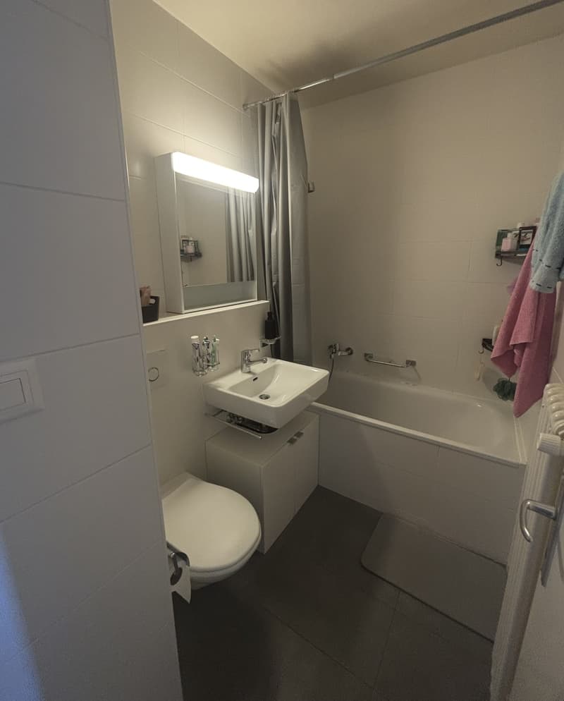 CHERCHE REPRENEUSE APPARTEMENT À ECUBLENS DÈS LE 1er JANVIER 2027 (3)
