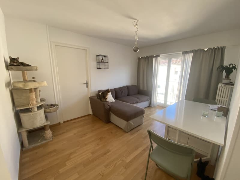 Appartement de 3,5 pièces (4)