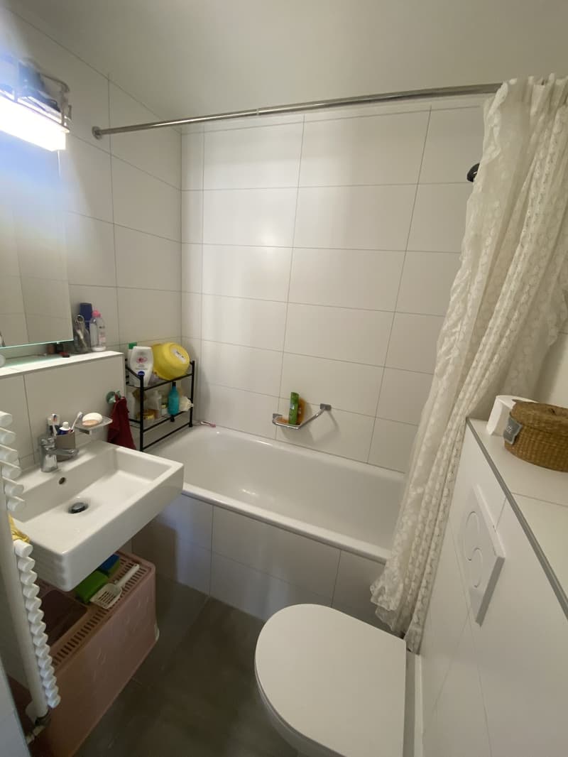 Appartement de 3,5 pièces (5)