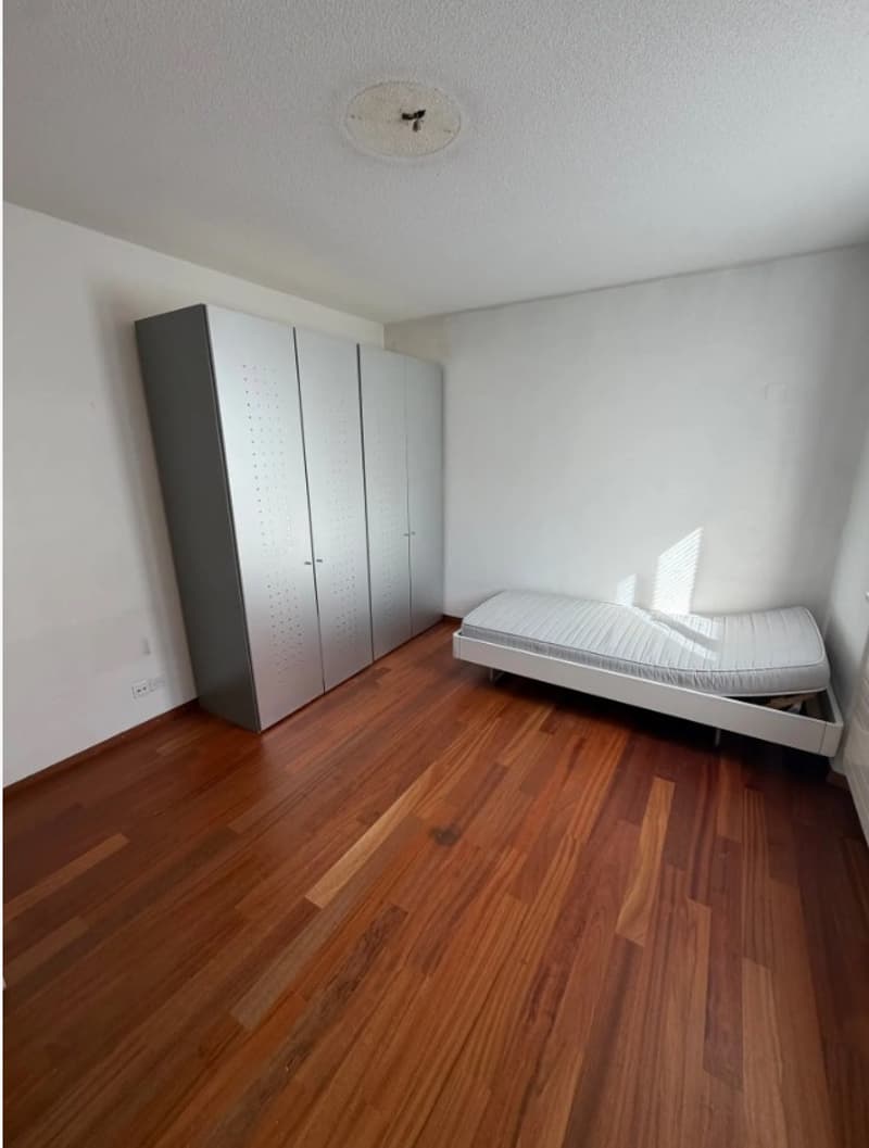 Wir zügeln von Wohnung zu Haus (und suchen mehrere Leute), Wollishofen (1)