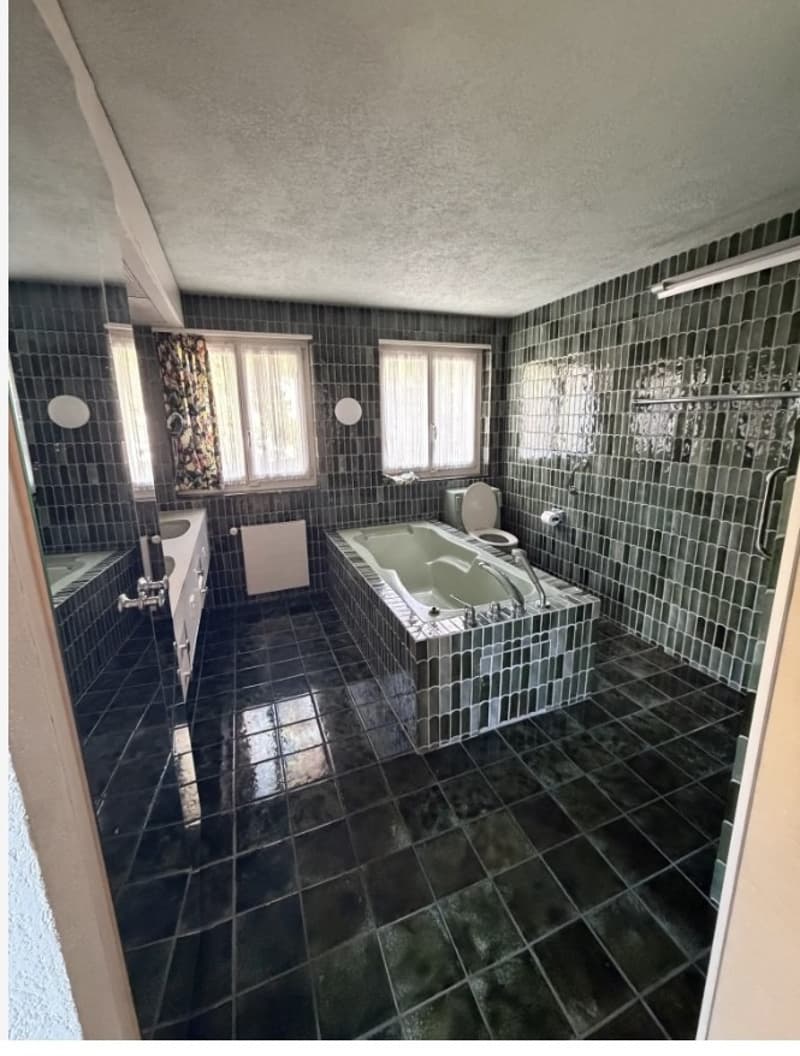Wir zügeln von Wohnung zu Haus (und suchen mehrere Leute), Wollishofen (3)