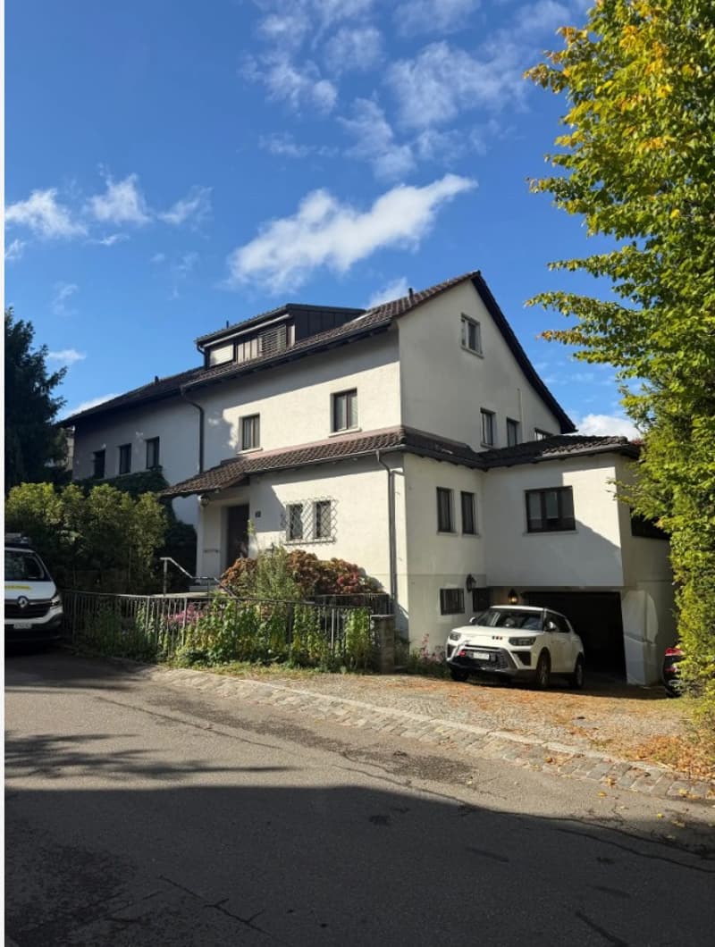 Wir zügeln von Wohnung zu Haus (und suchen mehrere Leute), Wollishofen (2)
