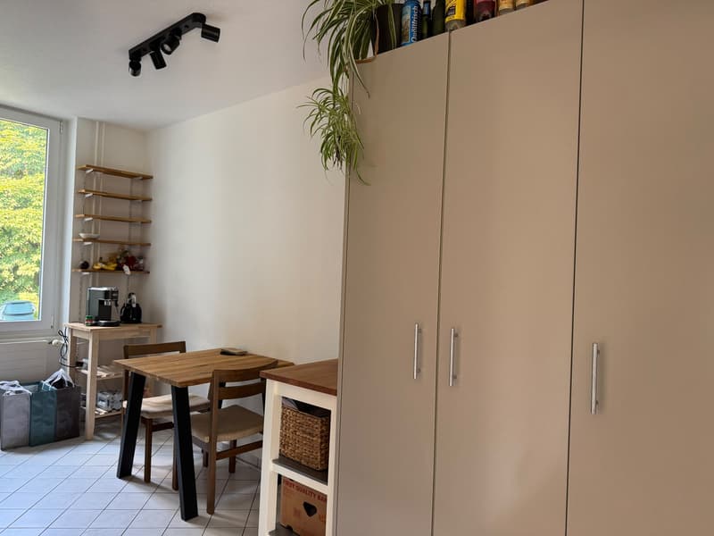Room in a spacious shared flat in Wipkingen CHF 1,600 incl. utilities (9)