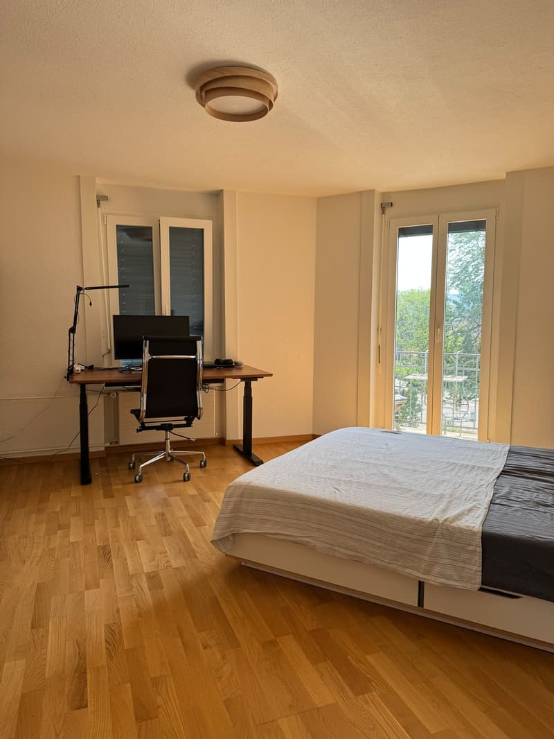 Room in a spacious shared flat in Wipkingen CHF 1,600 incl. utilities (11)