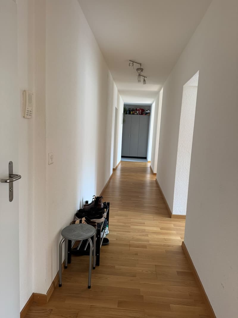 Room in a spacious shared flat in Wipkingen CHF 1,600 incl. utilities (13)