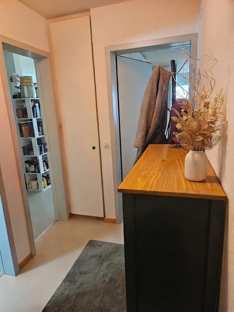 1 ½ Zimmer-Wohnung, 6005 Luzern (6)