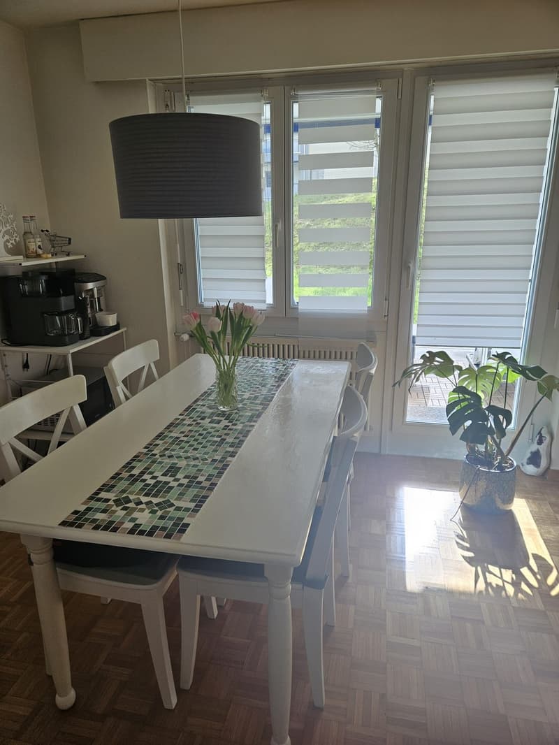 1 ½ Zimmer-Wohnung, 6005 Luzern (3)