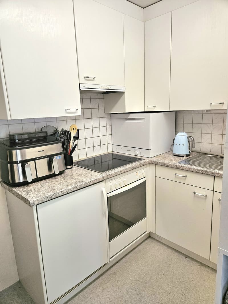 1 ½ Zimmer-Wohnung, 6005 Luzern (5)