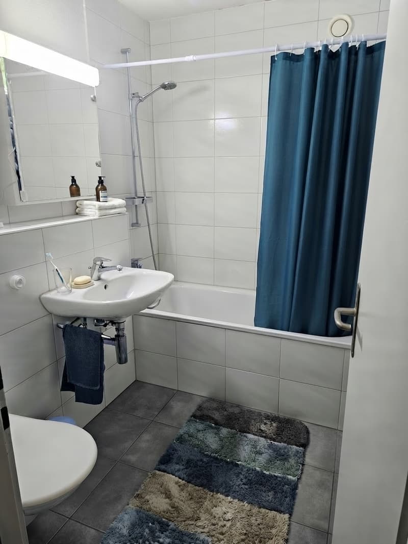 1 ½ Zimmer-Wohnung, 6005 Luzern (4)