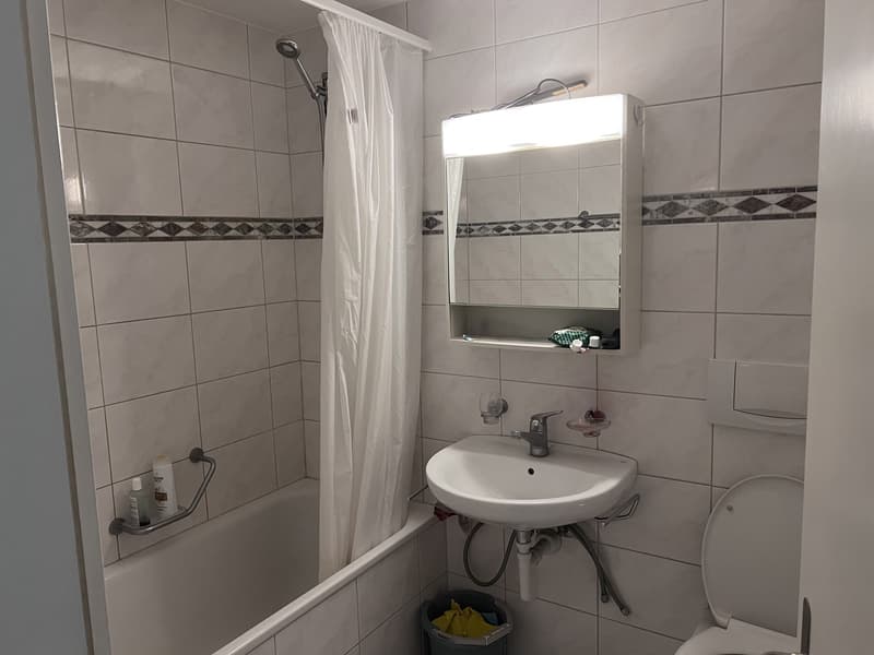 Gemütliche 3.5 Zimmer Dachwohnung in Bern (8)