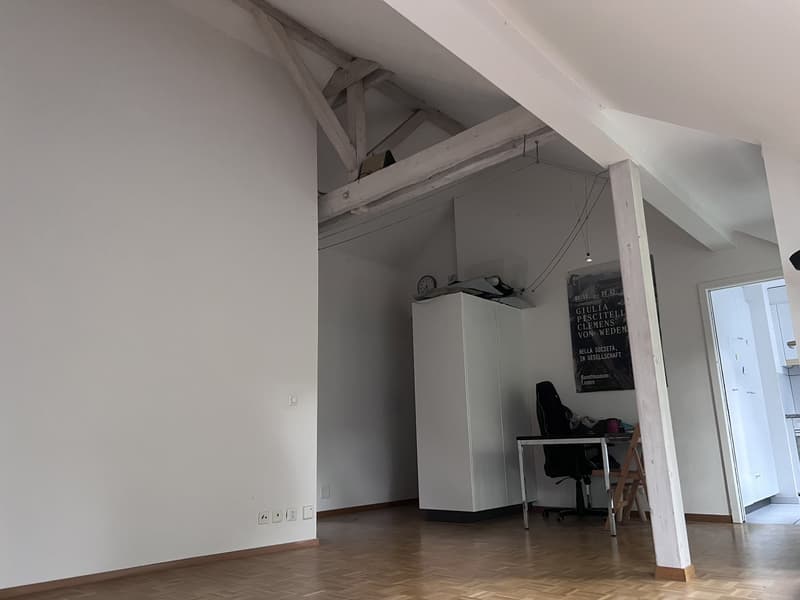 Gemütliche 3.5 Zimmer Dachwohnung in Bern (2)