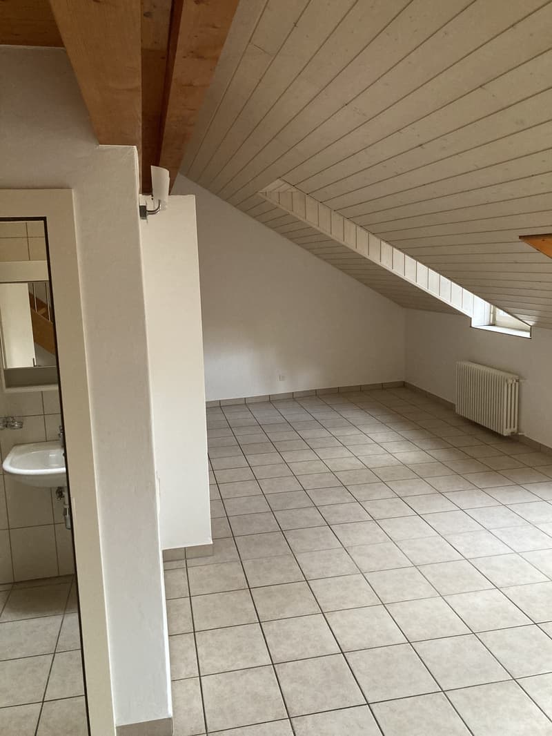 Charmant appartement très calme (6)