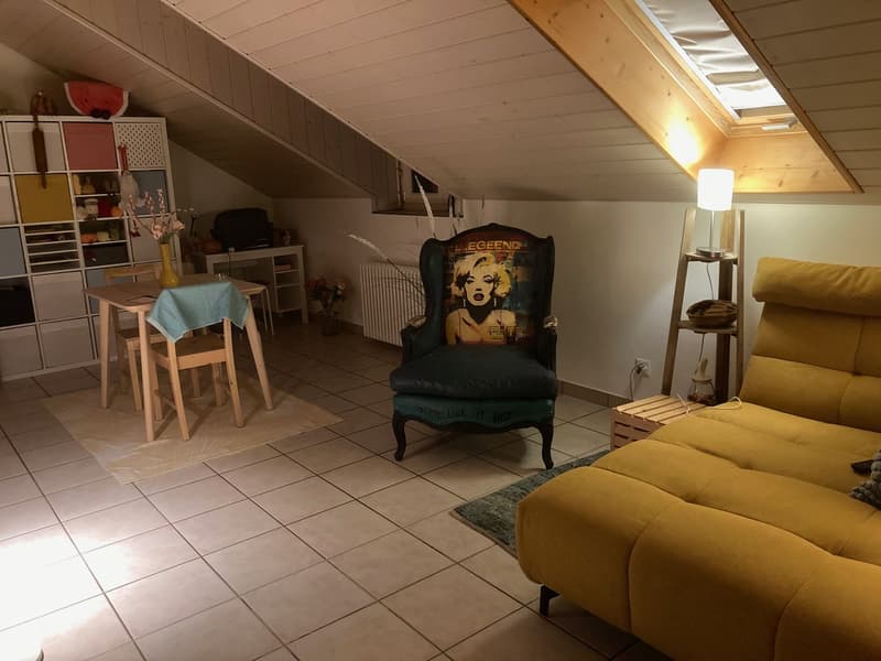 Charmant appartement très calme (3)