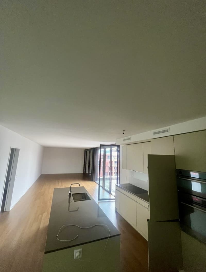 Ihr neues Zuhause über den Dächern von Winterthur! (3)