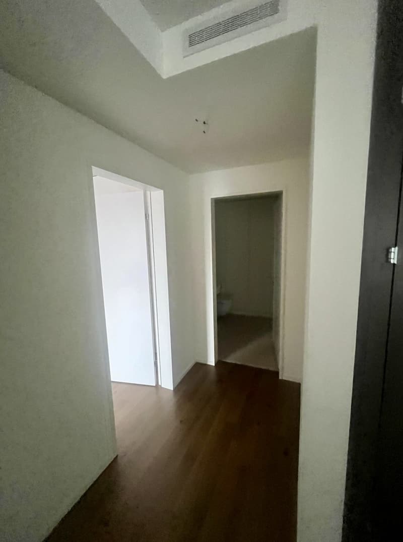 Ihr neues Zuhause über den Dächern von Winterthur! (10)