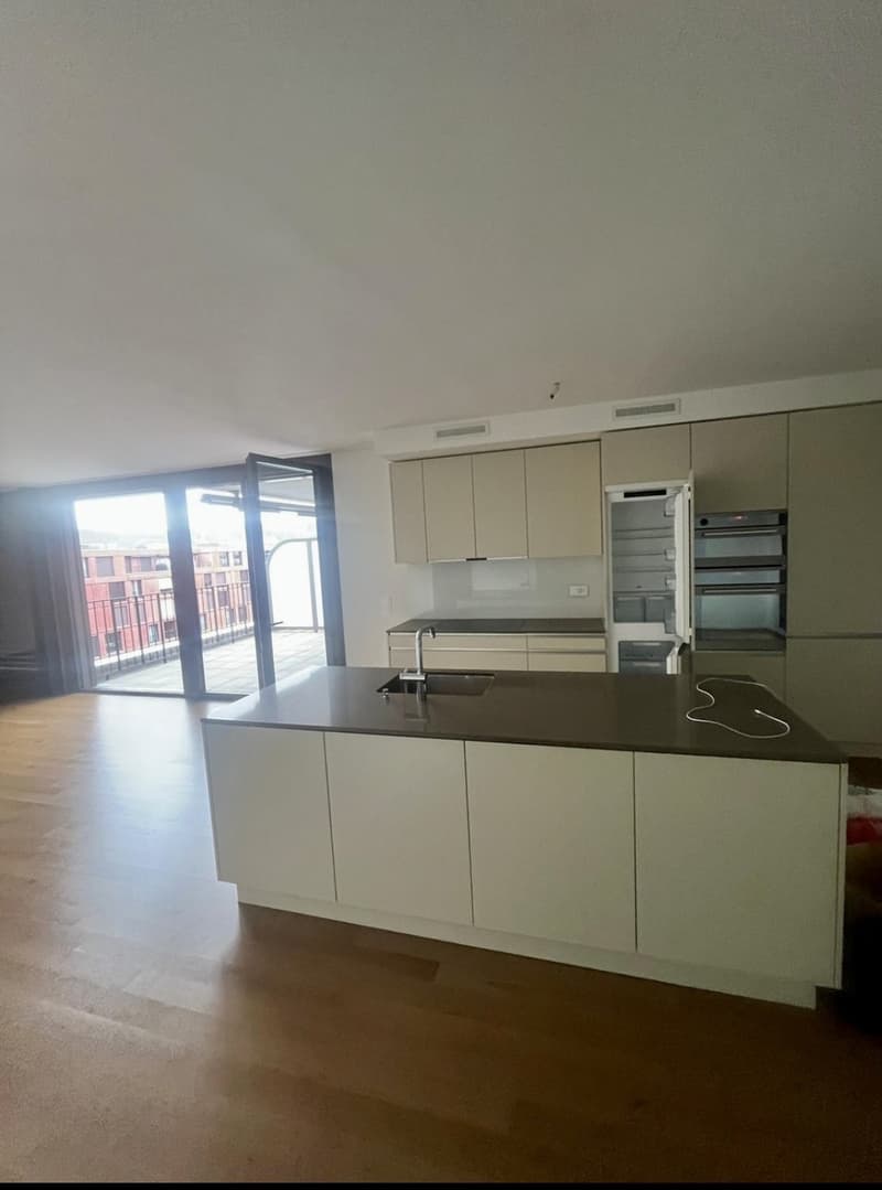 Ihr neues Zuhause über den Dächern von Winterthur! (1)