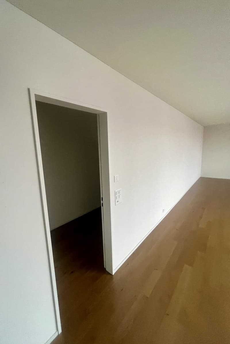 Ihr neues Zuhause über den Dächern von Winterthur! (11)
