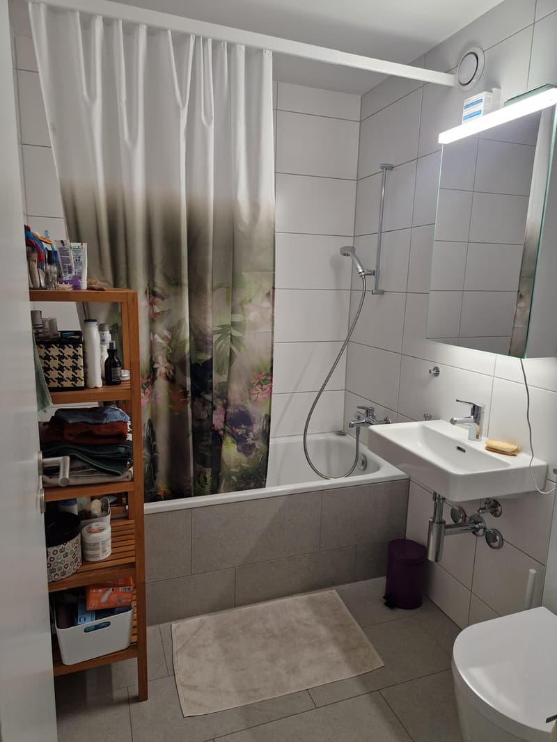 2.5 Zimmer Wohnung in Lenzburg mieten (5)