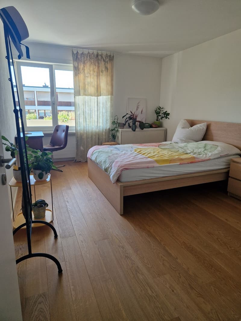 2.5 Zimmer Wohnung in Lenzburg mieten (3)