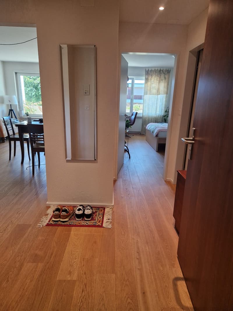 2.5 Zimmer Wohnung in Lenzburg mieten (7)