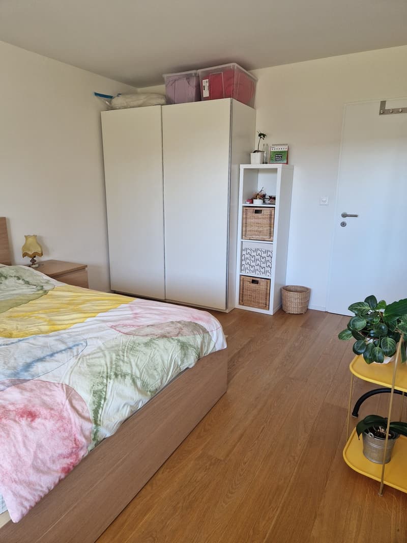 2.5 Zimmer Wohnung in Lenzburg mieten (4)