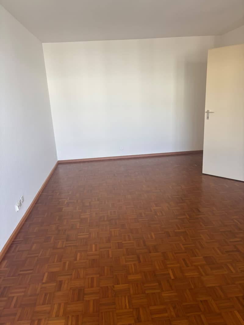 Spacious Furnished Room for Temporary Rent in Basel (4057) (3)