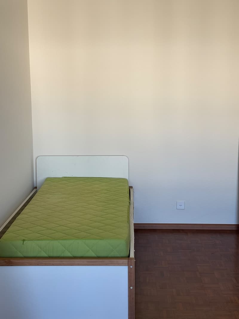 Spacious Furnished Room for Temporary Rent in Basel (4057) (1)