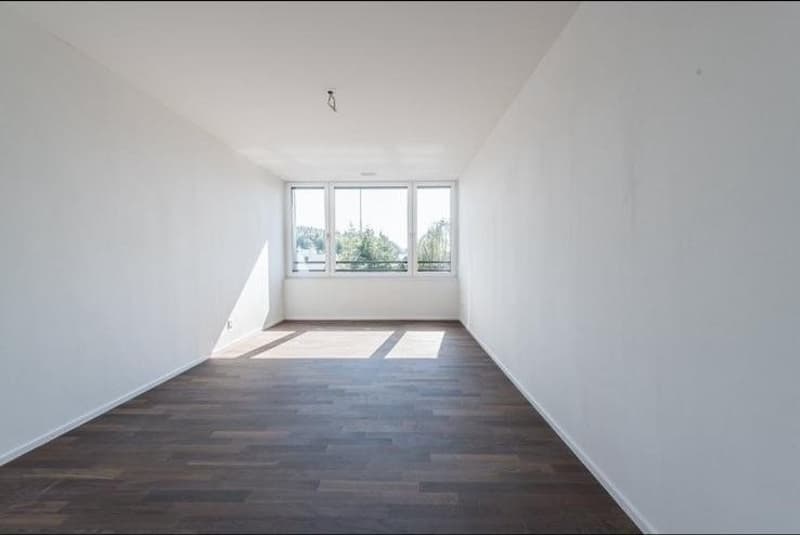 Nachmieter gesucht (6)