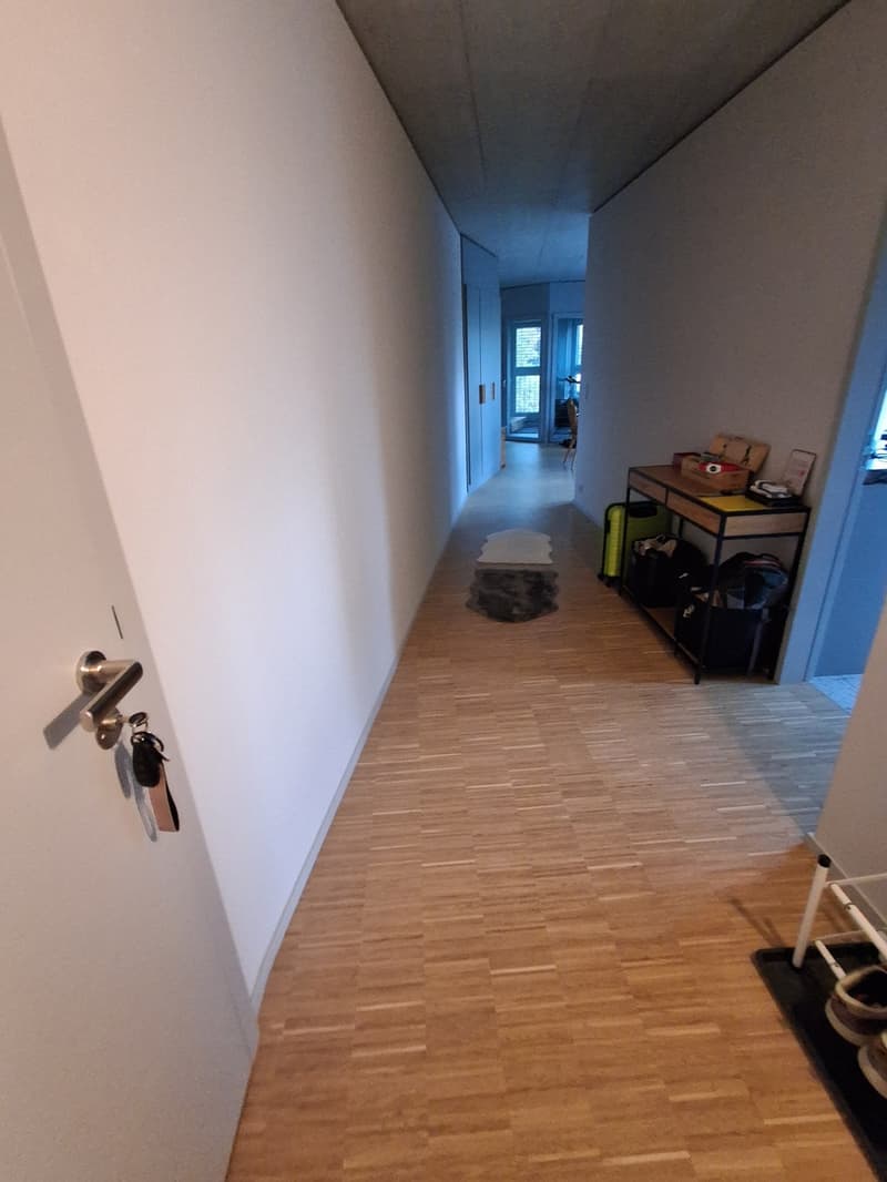 zu vermieten ab 1. November oder nach Vereinbarung (8)