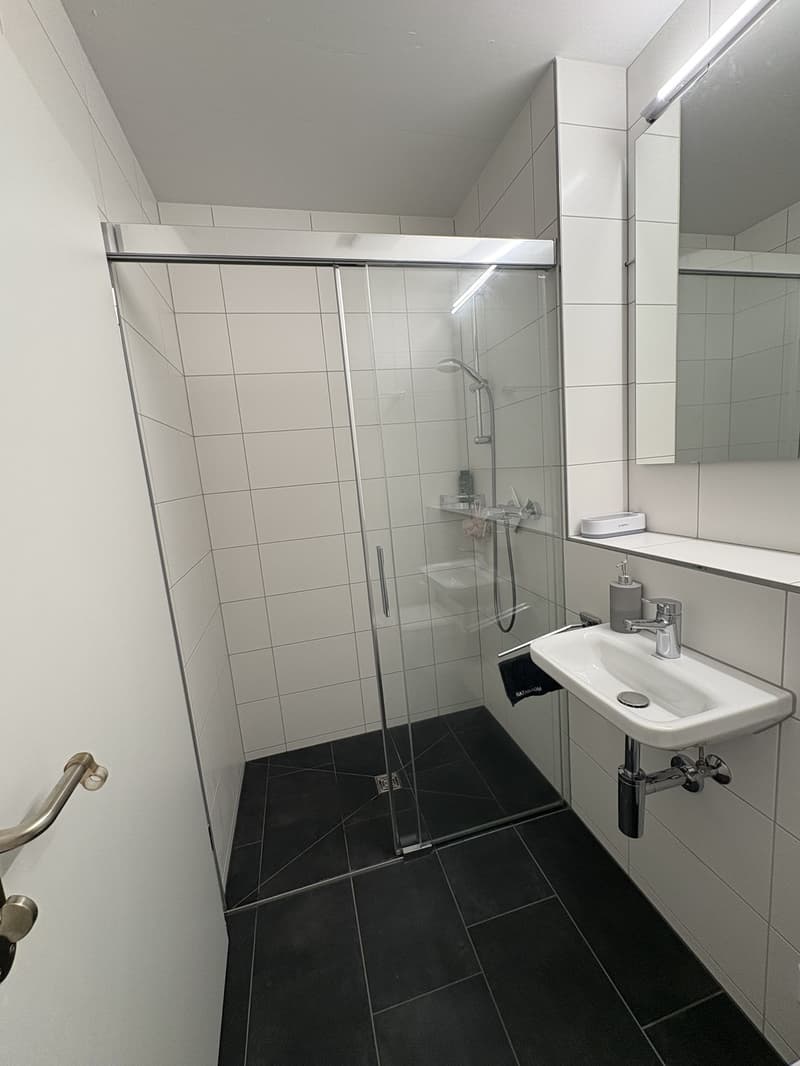 Ruhige 4.5-Zimmer Wohnung (10)
