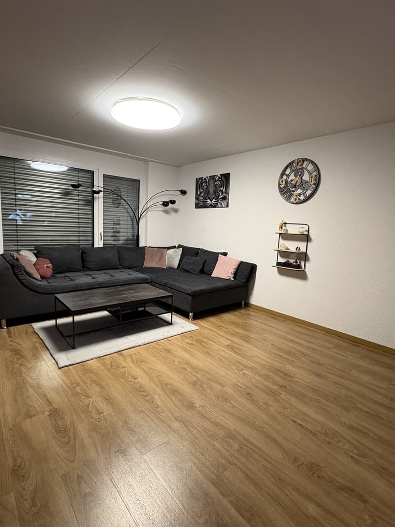 Ruhige 4.5-Zimmer Wohnung (1)