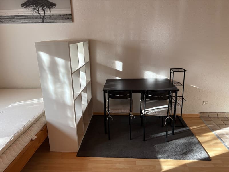 Möblierte 1-Zimmer-Wohnung in Trimmis bei Chur - CHF 750 inkl. Nebenkosten (3)