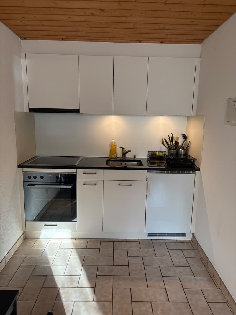 Möblierte 1-Zimmer-Wohnung in Trimmis bei Chur - CHF 750 inkl. Nebenkosten (1)