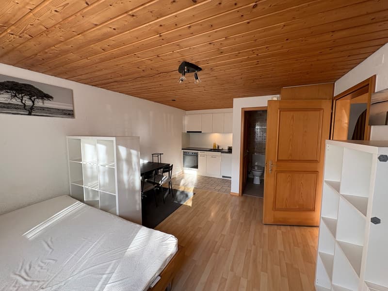 Möblierte 1-Zimmer-Wohnung in Trimmis bei Chur - CHF 750 inkl. Nebenkosten (2)