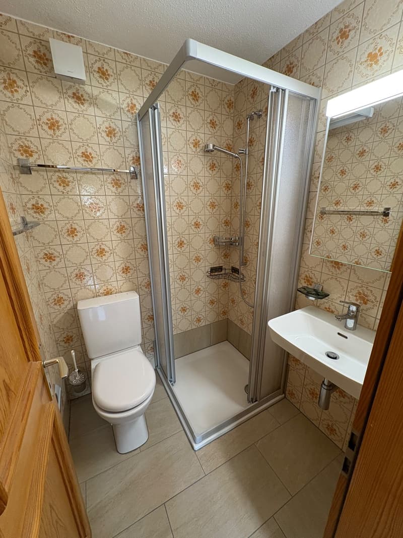 Möblierte 1-Zimmer-Wohnung in Trimmis bei Chur - CHF 750 inkl. Nebenkosten (6)