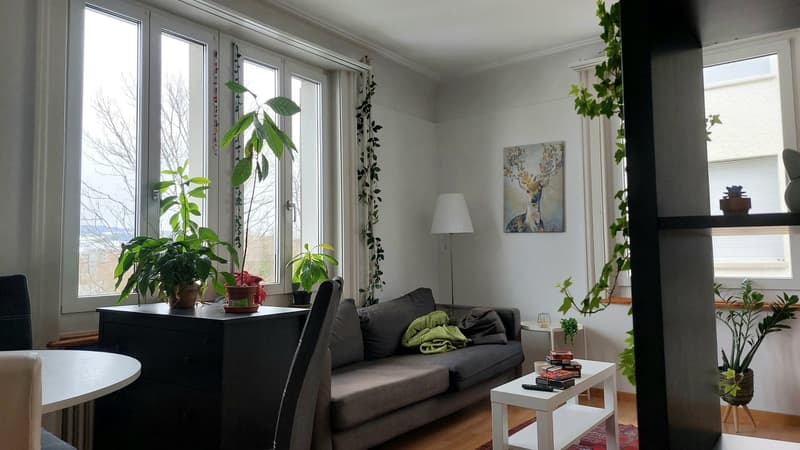 4-Zimmer WG (3)