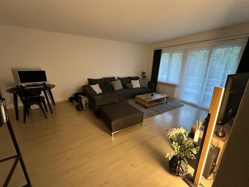 2.5-Zimmer-Wohnung in Boningen - CHF 1150 inkl. NK & Parkplatz - ab 01.12.2026 (2)