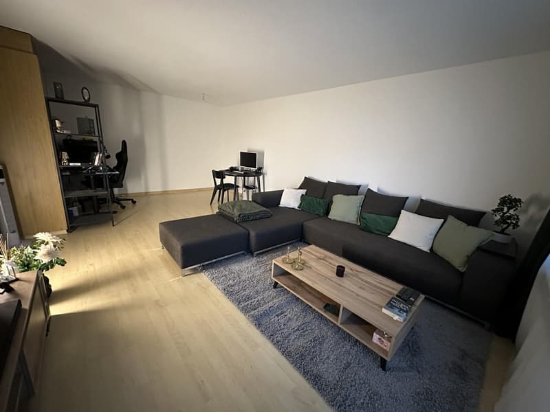 2.5-Zimmer-Wohnung in Boningen - CHF 1150 inkl. NK & Parkplatz - ab 01.12.2026 (1)