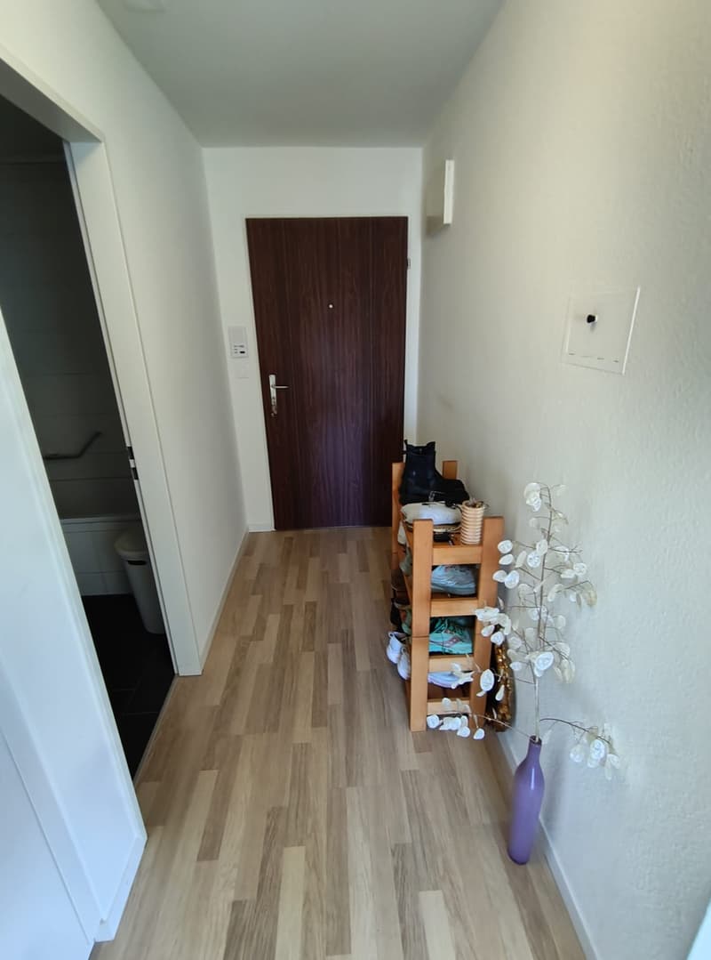 1.5 Zimmer Wohnung zentrale Lage Rapperswil (2)