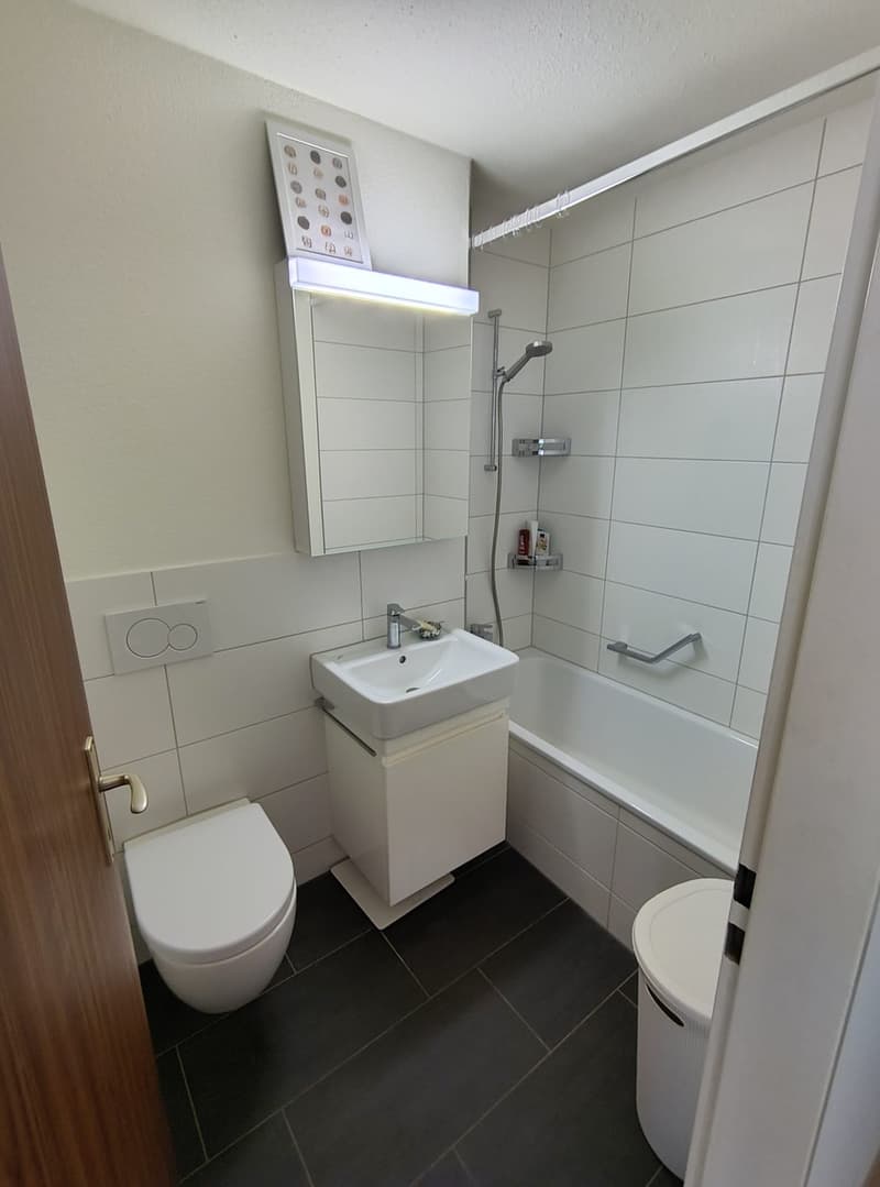 1.5 Zimmer Wohnung zentrale Lage Rapperswil (4)
