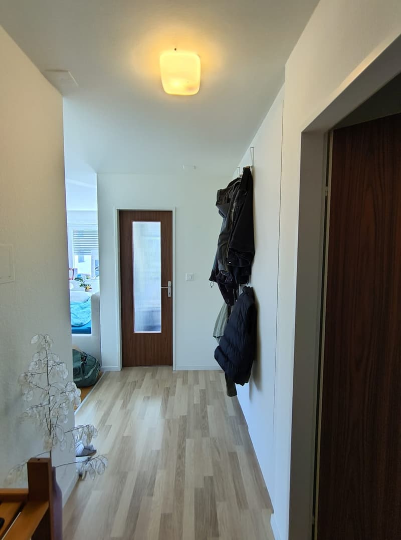 1.5 Zimmer Wohnung zentrale Lage Rapperswil (3)