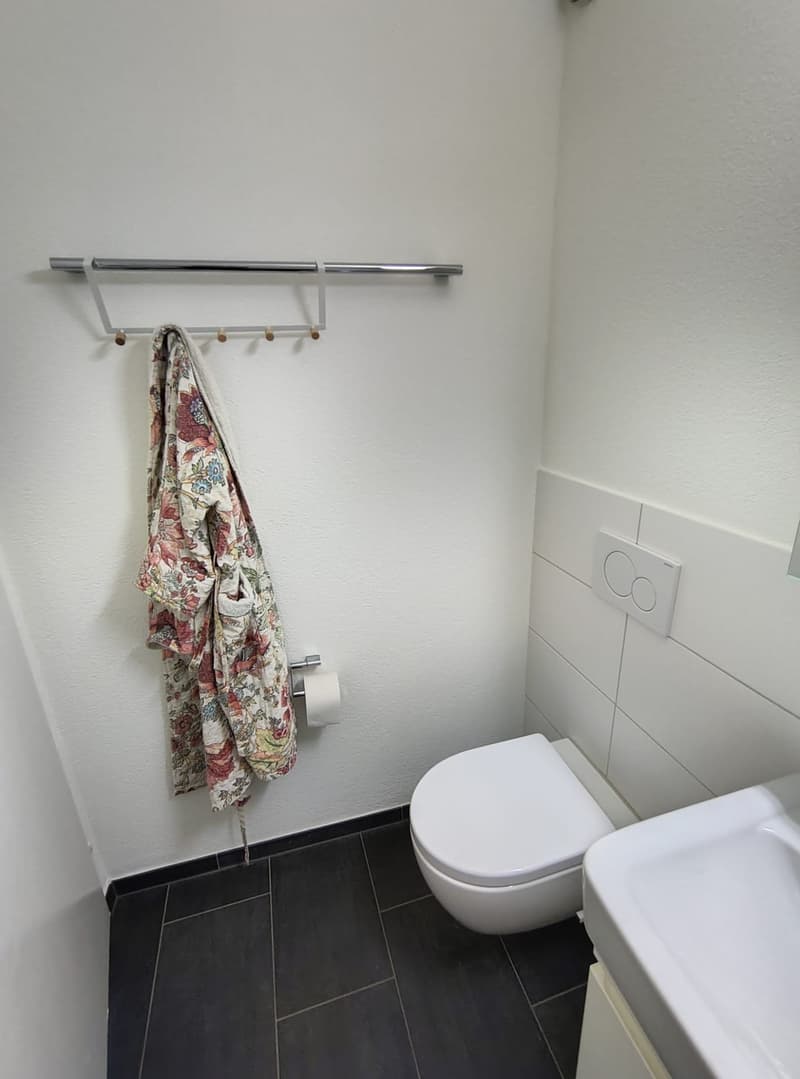 1.5 Zimmer Wohnung zentrale Lage Rapperswil (5)
